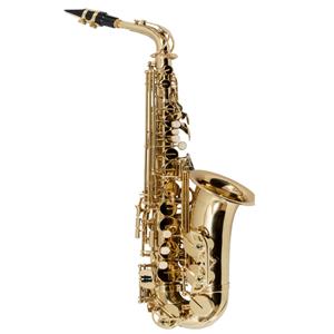 Saxofone Alto Vogga VSAS701N com Case - Laqueado