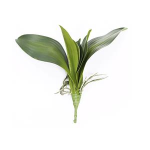 Planta Artificial Encanel Folha de Orquídea Verde - 32cm